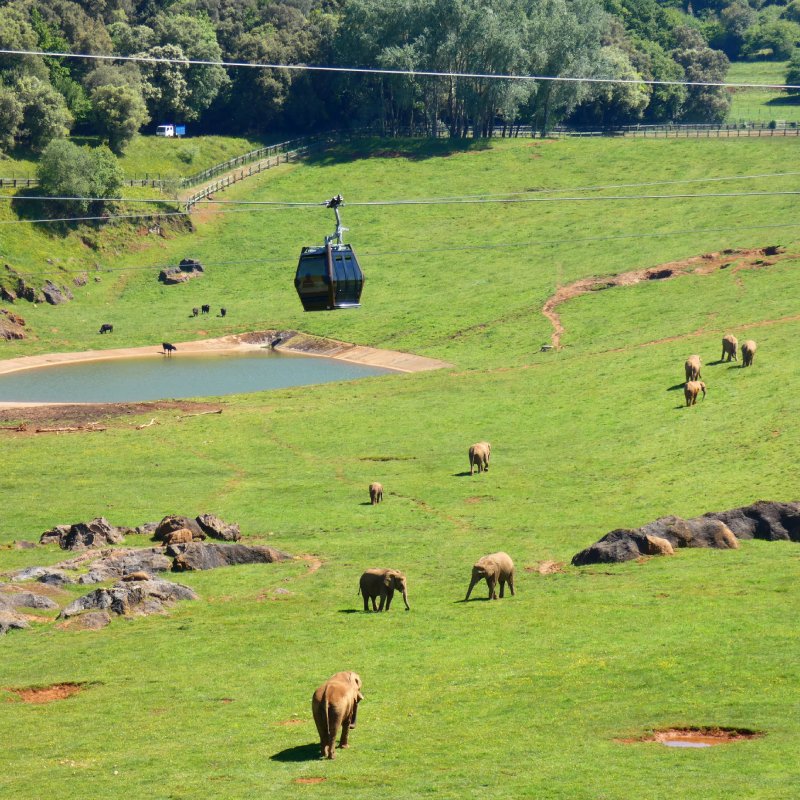 PARQUE CABARCENO - Parque de la Naturaleza - Entradas online desde 25€